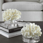 Hard Coral Set/2